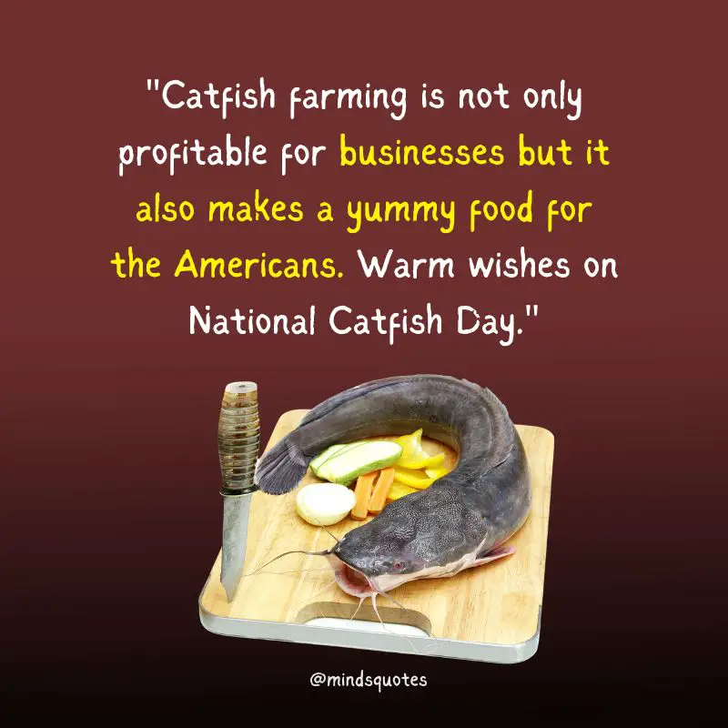 National Catfish Day Quotes, Messages & Wishes (June 25) 5 National Catfish Day Wishes