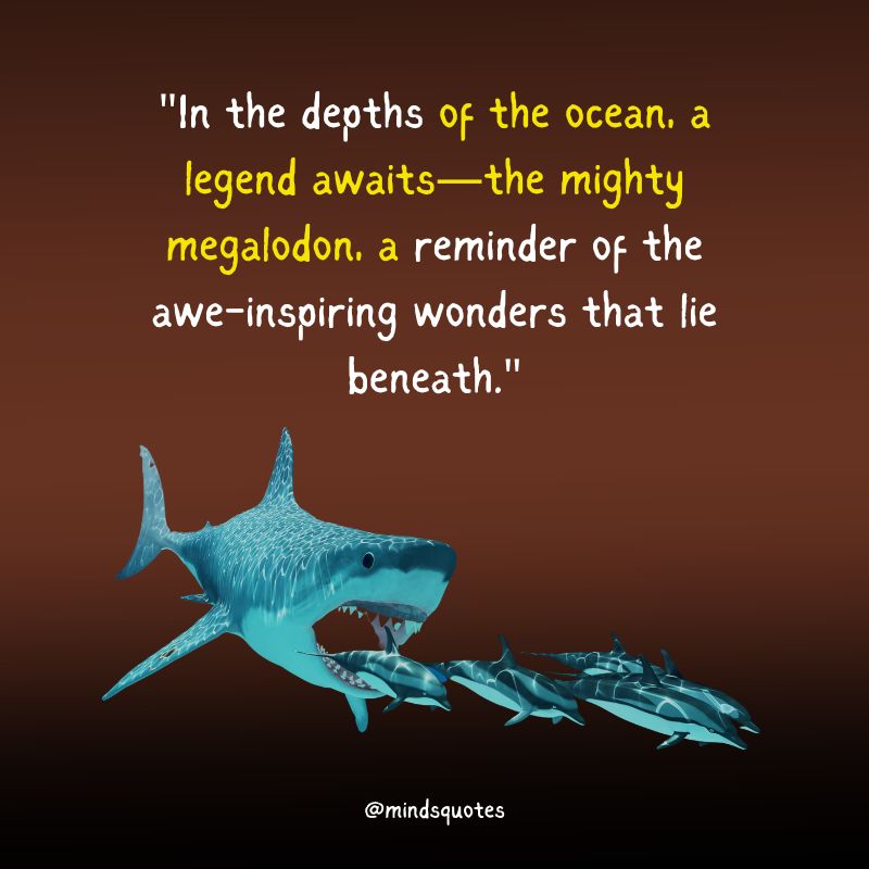 National Megalodon Day Quotes