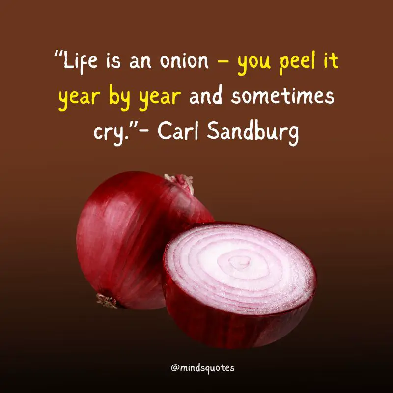 National Onion Day Quotes, Wishes & Messages (June 27th) 2 National Onion Day Quotes