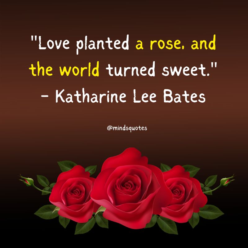 National Red Rose Day Quotes