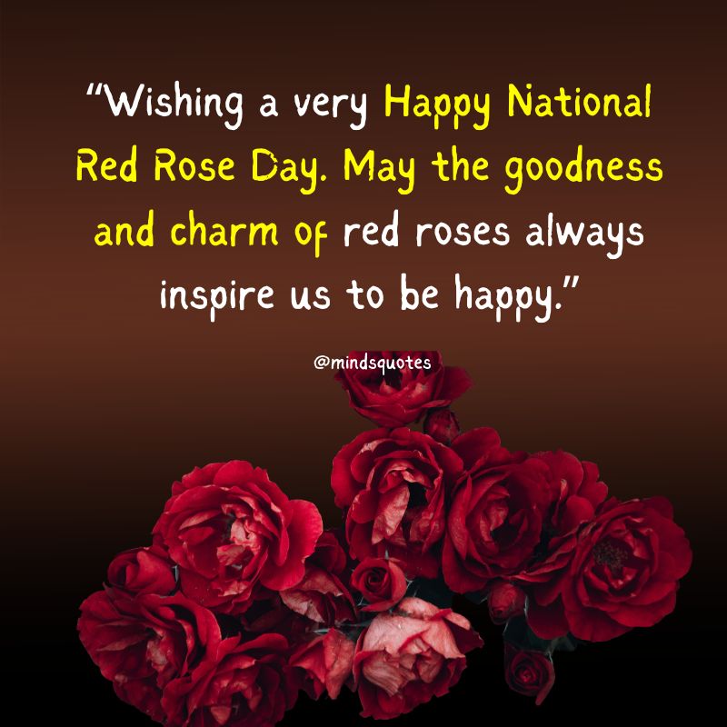 National Red Rose Day Wishes