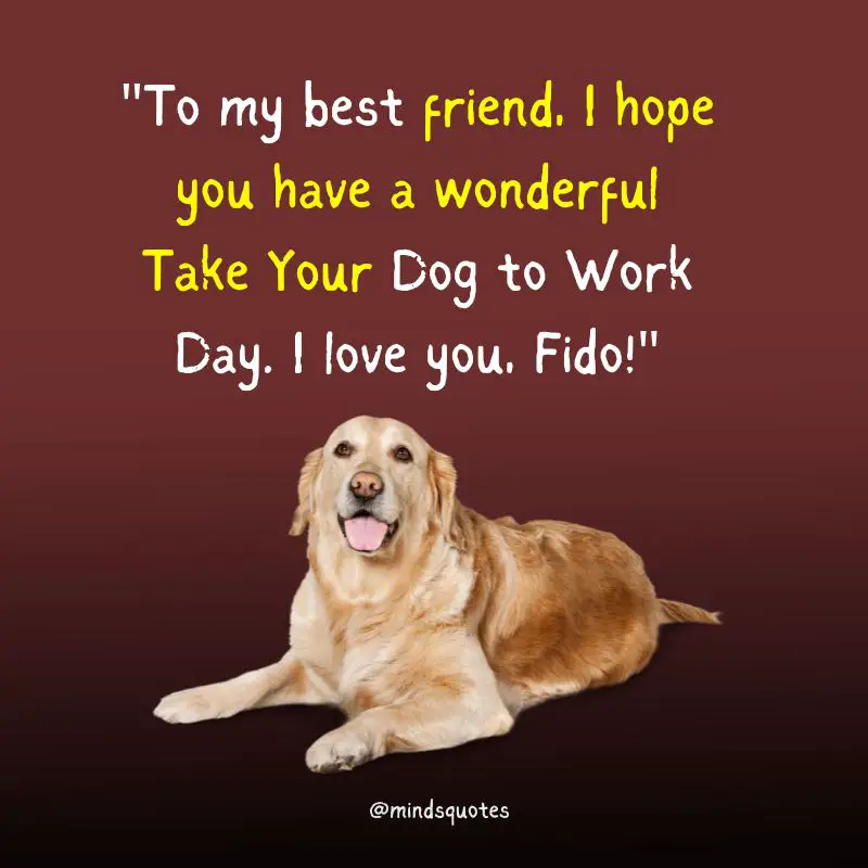 National Take Your Dog to Work Day Quotes, Wishes & Messages (June 23) 6 National Take Your Dog to Work Day Messages