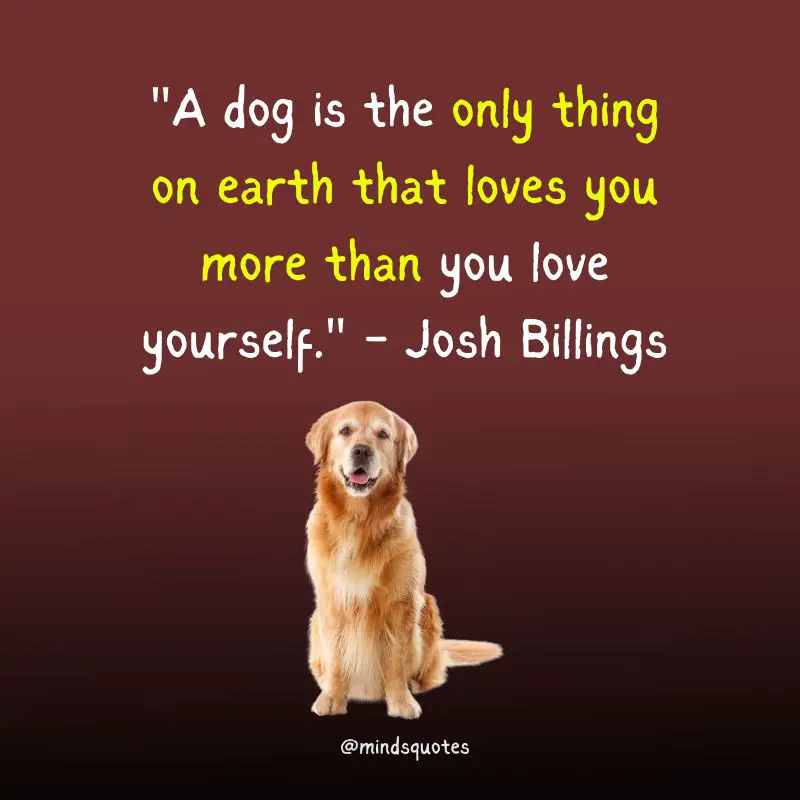 National Take Your Dog to Work Day Quotes, Wishes & Messages (June 23) 3 National Take Your Dog to Work Day Quotes