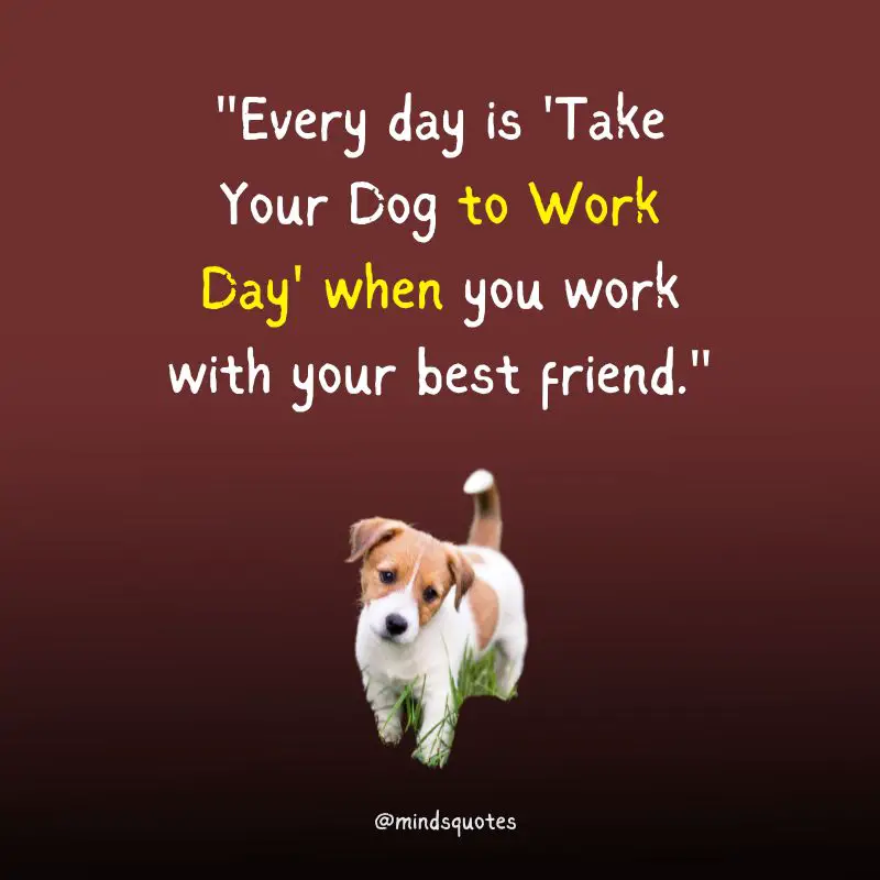 National Take Your Dog to Work Day Quotes, Wishes & Messages (June 23) 2 National Take Your Dog to Work Day Quotes