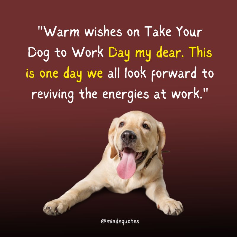 National Take Your Dog to Work Day Wishes