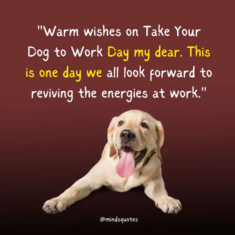 National Take Your Dog to Work Day Quotes, Wishes & Messages (June 23) 4 National Take Your Dog to Work Day Wishes