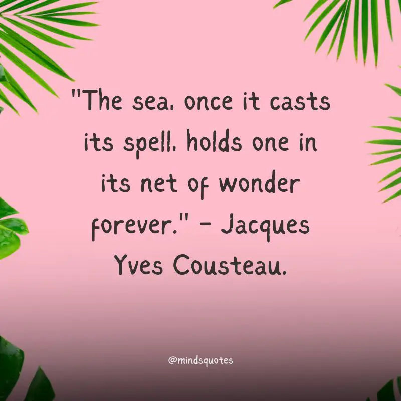 International Day of The Tropics Quotes, Messages & Theme (June 29) 4 Tropical Beach Quotes