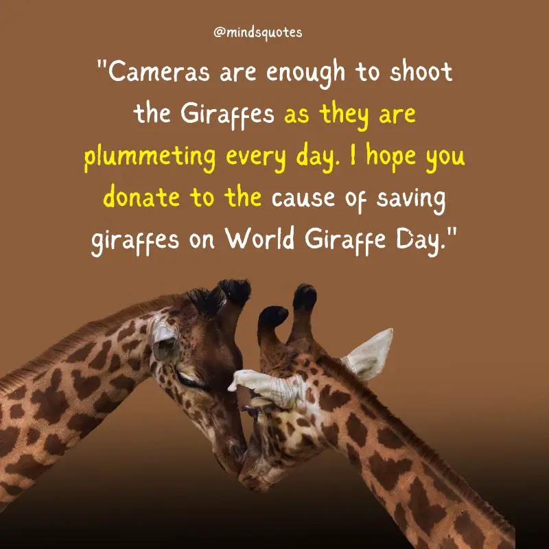 100 World Giraffe Day Quotes, Wishes & Messages (June 21) 7 World Giraffe Day Messages