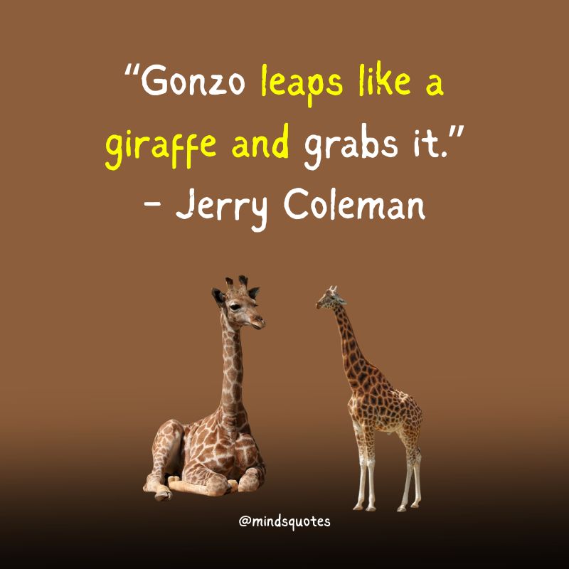 World Giraffe Day Quotes