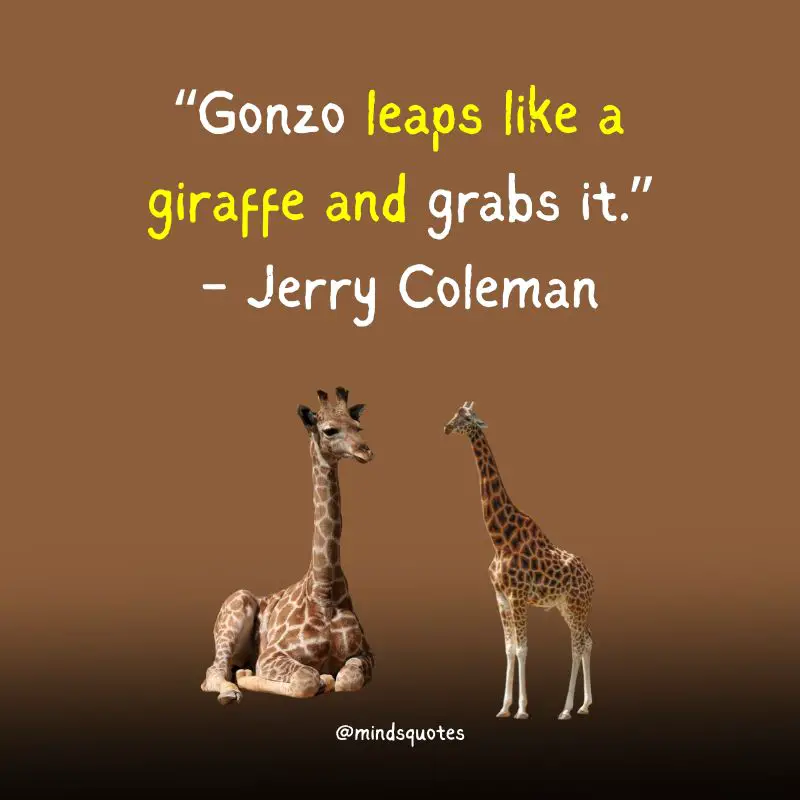 100 World Giraffe Day Quotes, Wishes & Messages (June 21) 2 World Giraffe Day Quotes