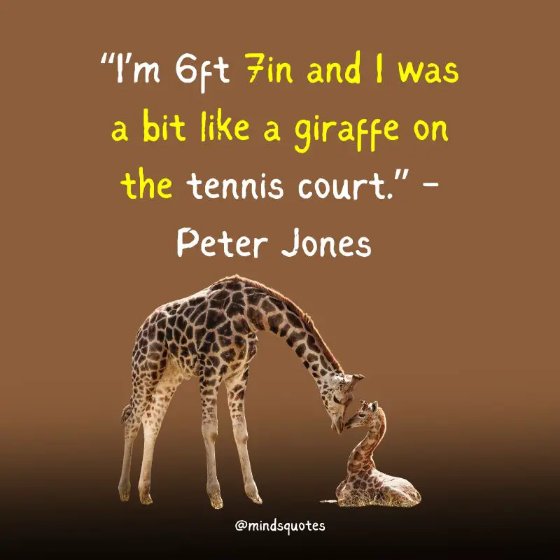 100 World Giraffe Day Quotes, Wishes & Messages (June 21) 3 World Giraffe Day Quotes