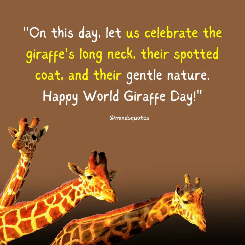 100 World Giraffe Day Quotes, Wishes & Messages (June 21) 6 World Giraffe Day Wishes