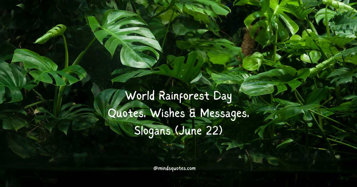 World Rainforest Day Quotes, Wishes & Messages, Slogans (June 22)