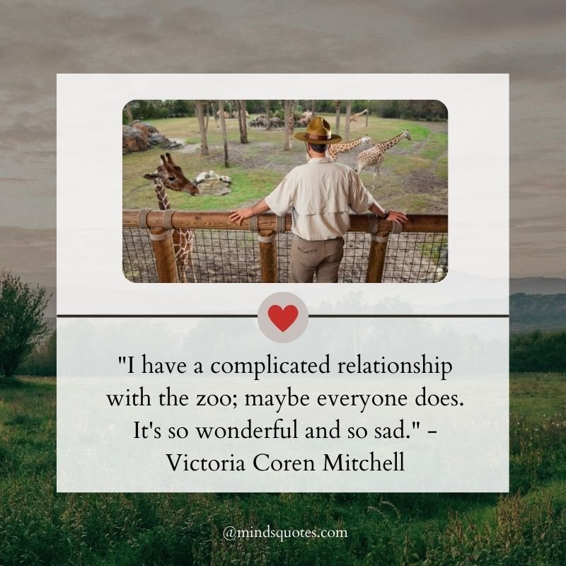Zoo Quotes