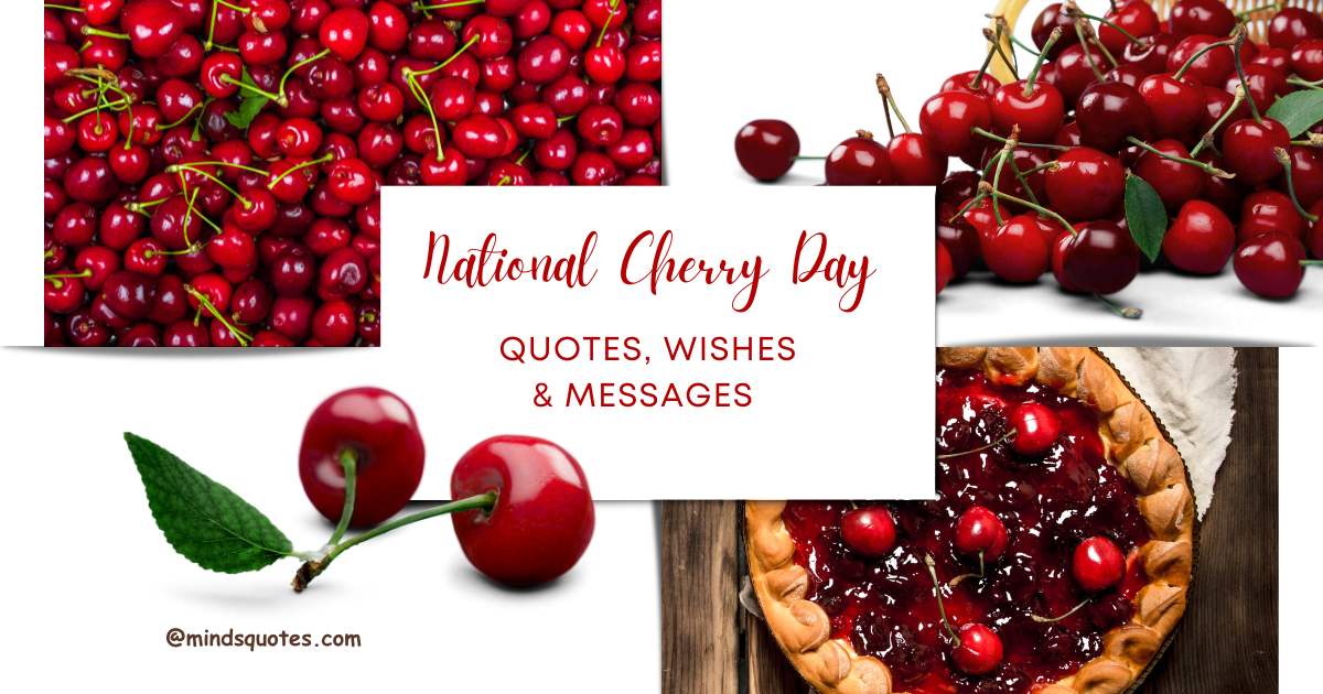 National Cherry Day Quotes, Wishes & Messages (July 16th)