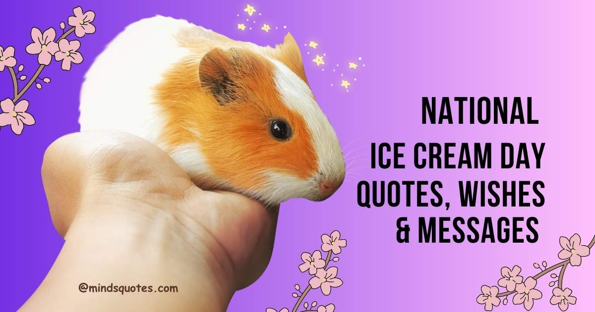 National Ice Cream Day Quotes, Wishes & Messages (16th July)