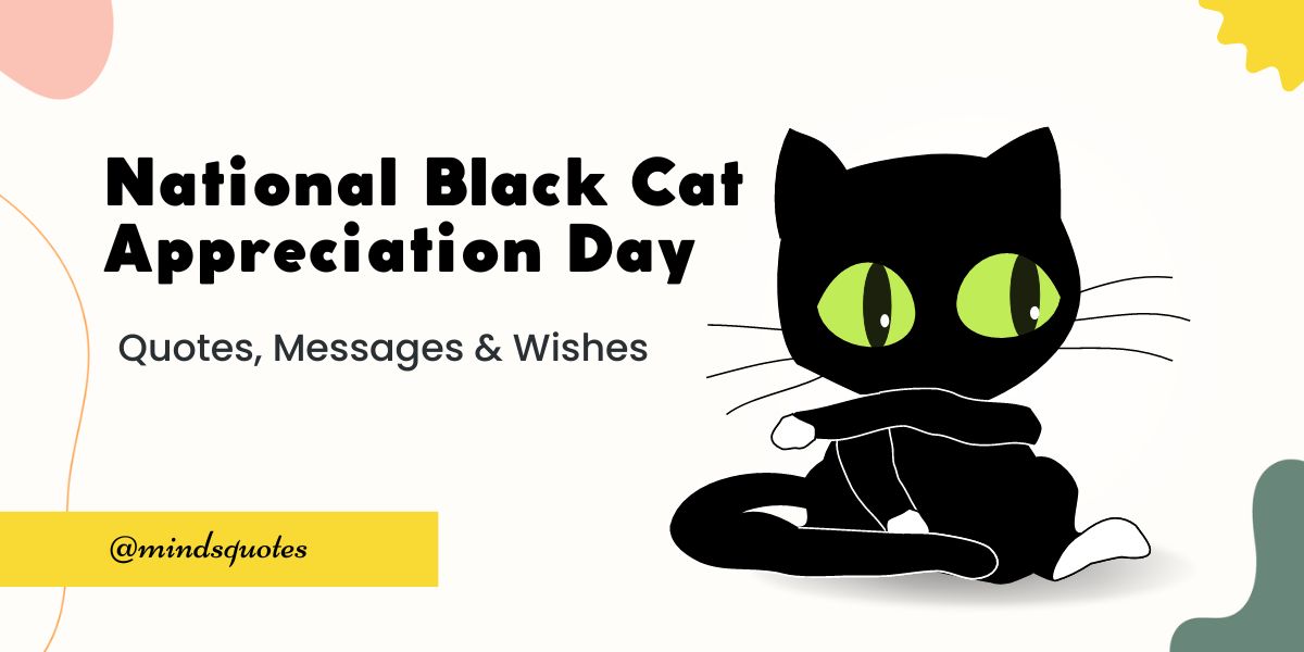 50 Best National Black Cat Appreciation Day Quotes, Messages & Wishes