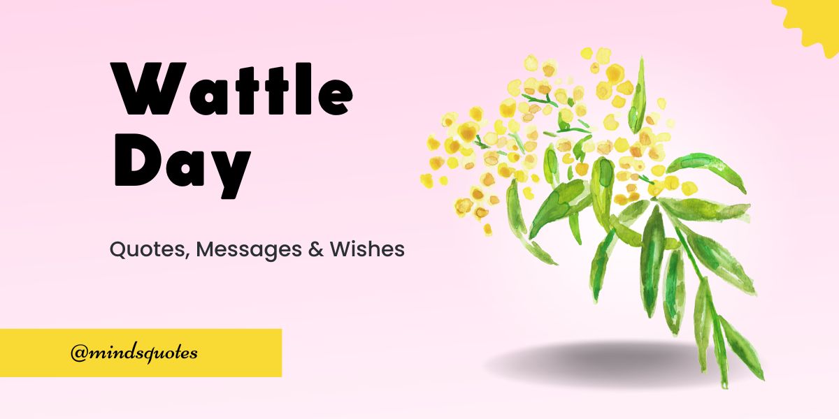 50 Best Wattle Day Quotes, Wishes, Captions & Messages