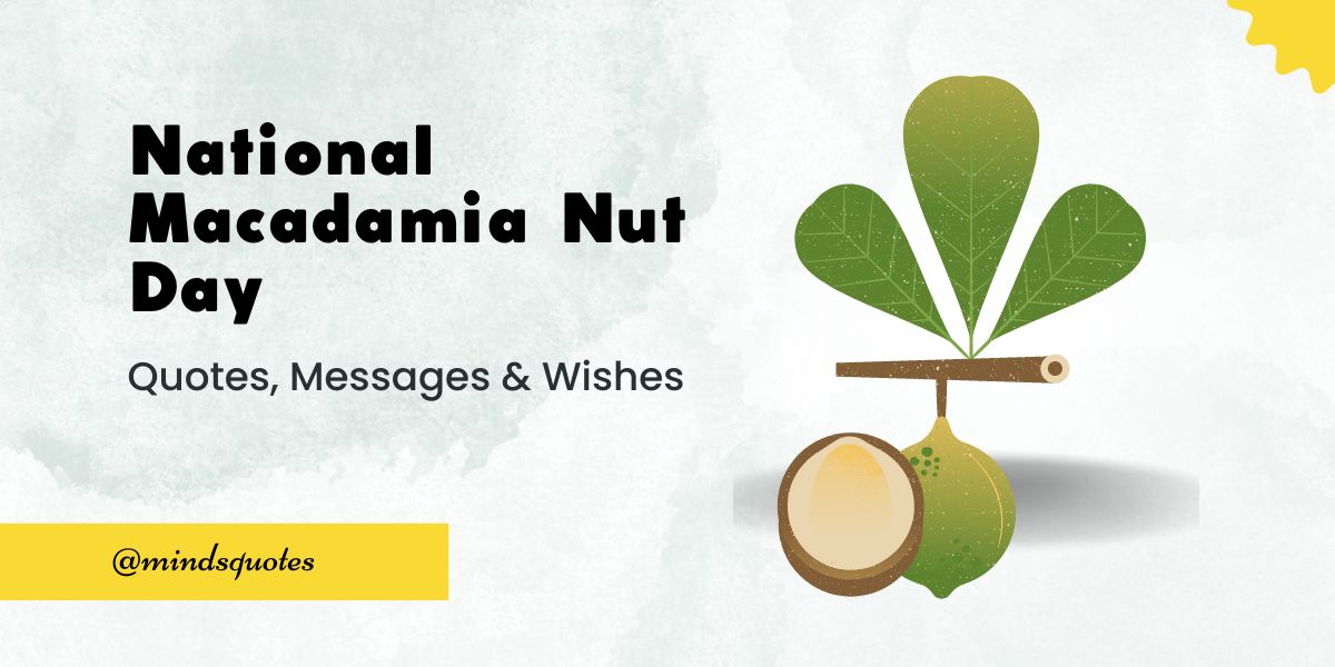 70 Best National Macadamia Nut Day Quotes, Wishes, Messages & Captions 