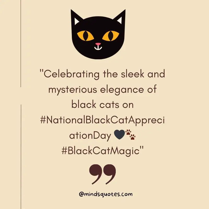 50 Best National Black Cat Appreciation Day Quotes, Messages & Wishes 5 National Black Cat Appreciation Day Captions