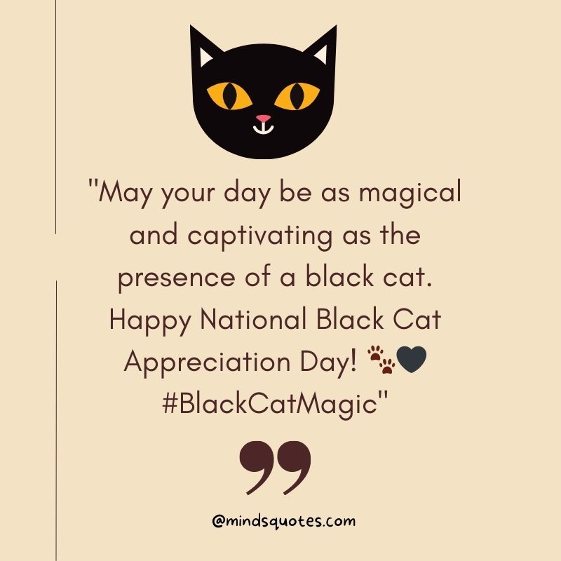 National Black Cat Appreciation Day Messages