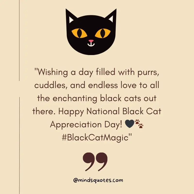 50 Best National Black Cat Appreciation Day Quotes, Messages & Wishes 4 National Black Cat Appreciation Day Wishes