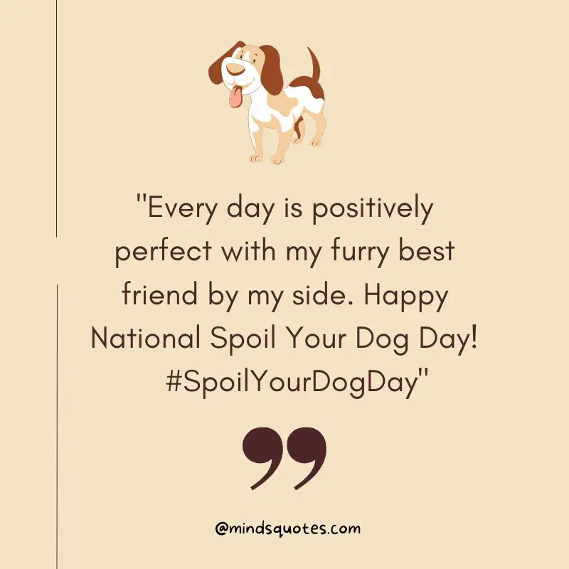 100 Best National Spoil Your Dog Day Quotes, Wishes & Messages 5 National Spoil Your Dog Day Captions