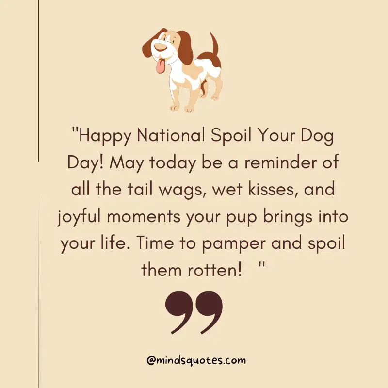 100 Best National Spoil Your Dog Day Quotes, Wishes & Messages 4 National Spoil Your Dog Day Messages