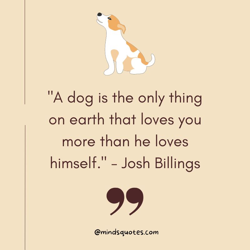 National Spoil Your Dog Day Quotes