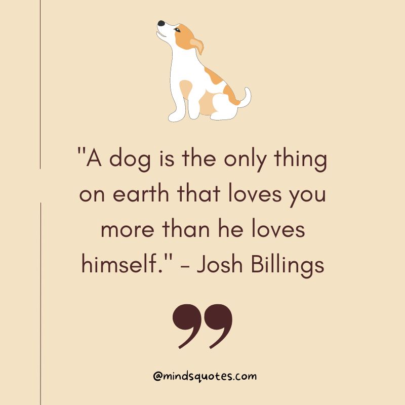 100 Best National Spoil Your Dog Day Quotes, Wishes & Messages 2 National Spoil Your Dog Day Quotes
