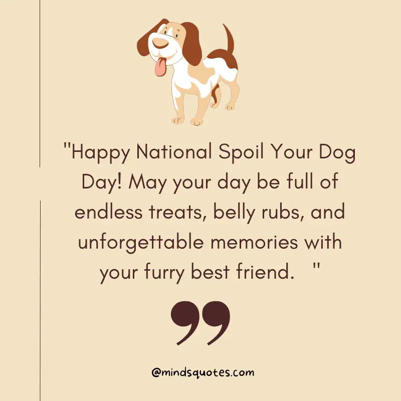 100 Best National Spoil Your Dog Day Quotes, Wishes & Messages
