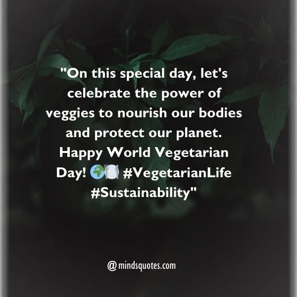 70 World Vegetarian Day Quotes, Wishes, Messages & Captions 4 World Vegetarian Day Messages