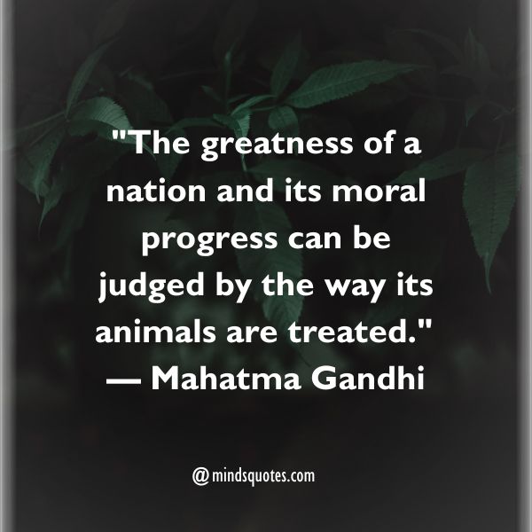 70 World Vegetarian Day Quotes, Wishes, Messages & Captions 2 World Vegetarian Day Quotes to Inspire