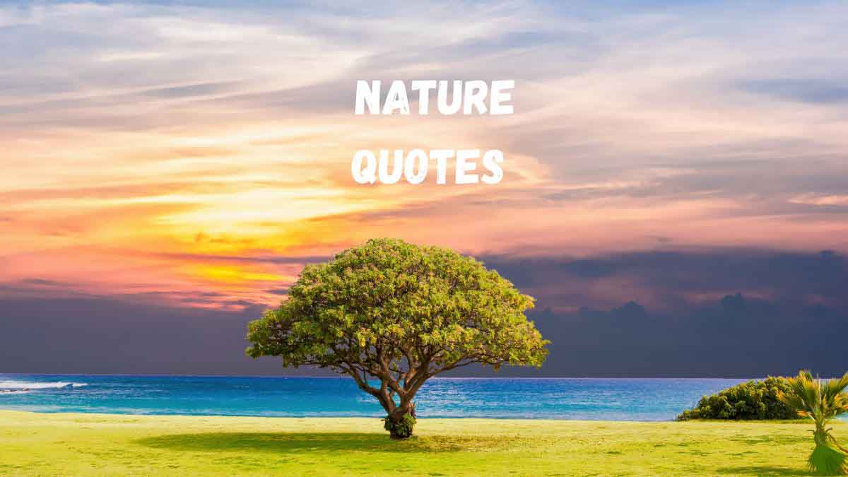 75 Best Nature Quotes To Soothe Your Mind, Body, And Soul