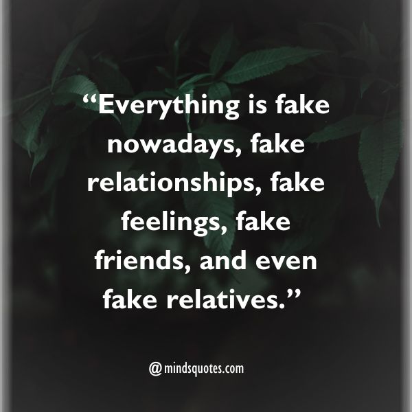 50 BEST Fake Family Quotes That Will Make You Cringe 3 Fake Family Quotes