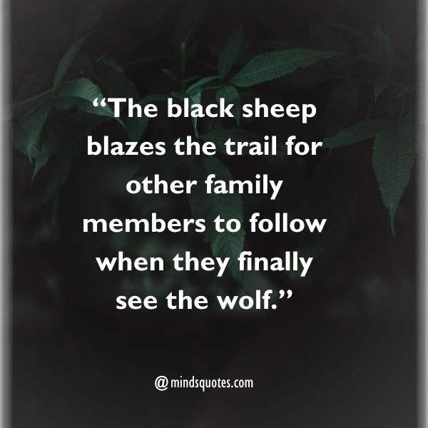 50 BEST Fake Family Quotes That Will Make You Cringe 10 Family Member Fake Family Quotes