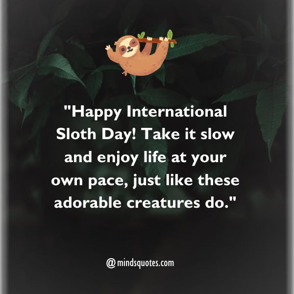 50 Best International Sloth Day Quotes, Wishes, Messages 6 International Sloth Day Messages
