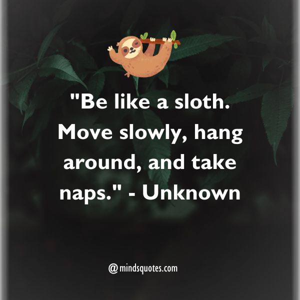 50 Best International Sloth Day Quotes, Wishes, Messages 2 International Sloth Day Quotes