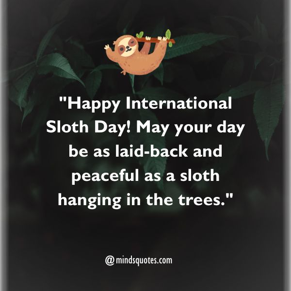 50 Best International Sloth Day Quotes, Wishes, Messages 4 International Sloth Day Wishes