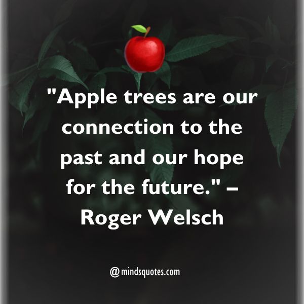 70 National Apple Day Quotes, Wishes, Messages & Captions 4 National Apple Day Quotes