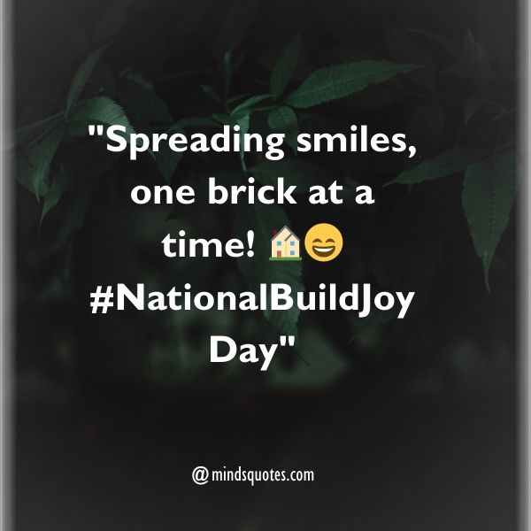 100 National Build Joy Day Quotes, Wishes, Messages & Captions. 13 National Build Joy Day Captions