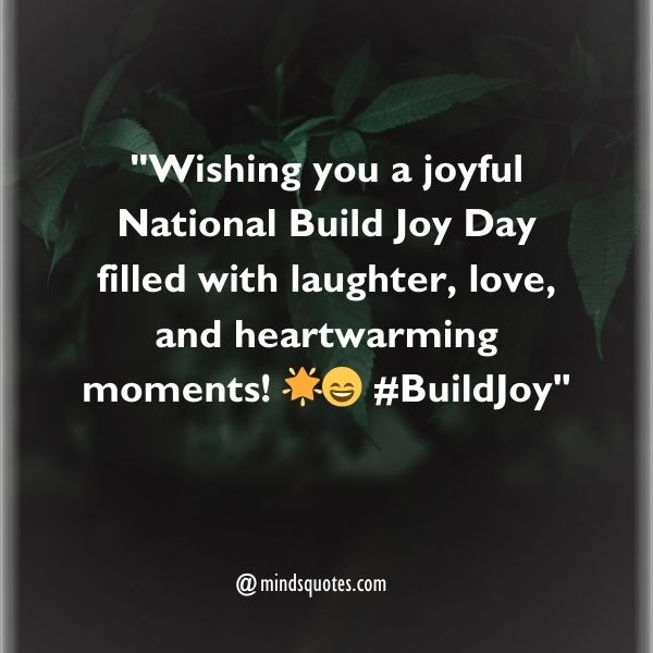 100 National Build Joy Day Quotes, Wishes, Messages & Captions. 7 National Build Joy Day Wishes