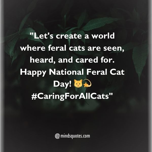 National Feral Cat Day Wishes