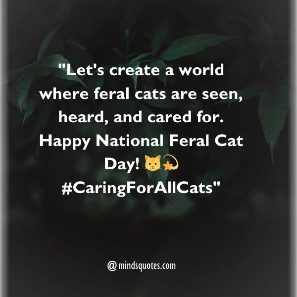 50 National Feral Cat Day Quotes, Wishes, Messages & Captions. 7 National Feral Cat Day Wishes