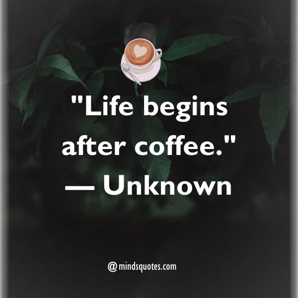 75 National Frappe Day Quotes, Wishes, Messages & Captions 2 National Frappe Day Quotes