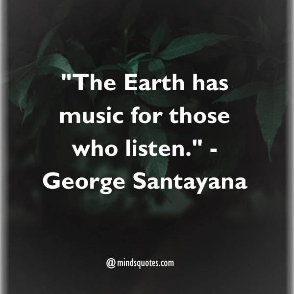 75 Best Nature Quotes To Soothe Your Mind, Body, And Soul 9 Natural Beauty Quotes