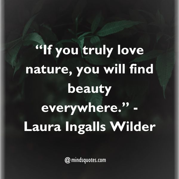 Nature Love Quotes