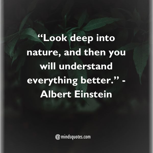 75 Best Nature Quotes To Soothe Your Mind, Body, And Soul 3 Nature Quotes