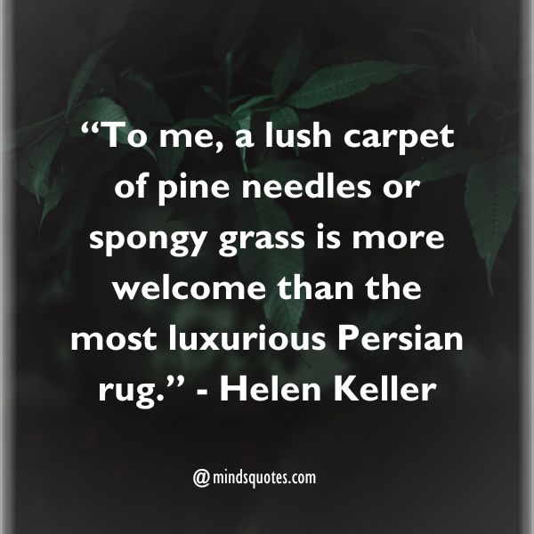 75 Best Nature Quotes To Soothe Your Mind, Body, And Soul 5 Nature Quotes