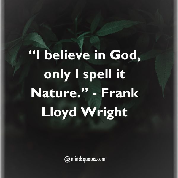 75 Best Nature Quotes To Soothe Your Mind, Body, And Soul 7 Nature Quotes